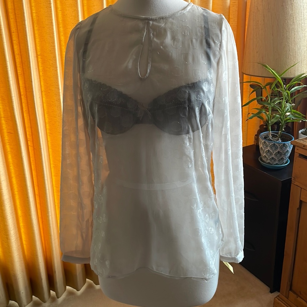 Sheer metallic thread blouse size medium from The Limited